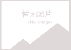 夏津县白山机械有限公司